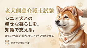 老犬飼養介護士試験